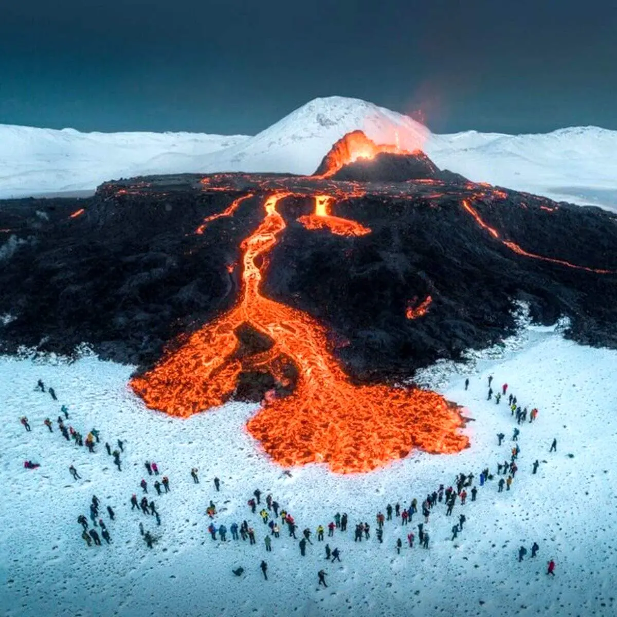 عکس‌های برتر سال ۲۰۲۱ و داستان‌های شگفت‌انگیز