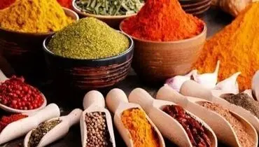 ادویه‌های جایگزین نمک در غذا+ جزئیات