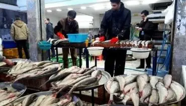نیم کیلو ماهی ۱۸۹ هزار تومان/‌ تازه‌ترین قیمت انواع ماهی در بازار تهران