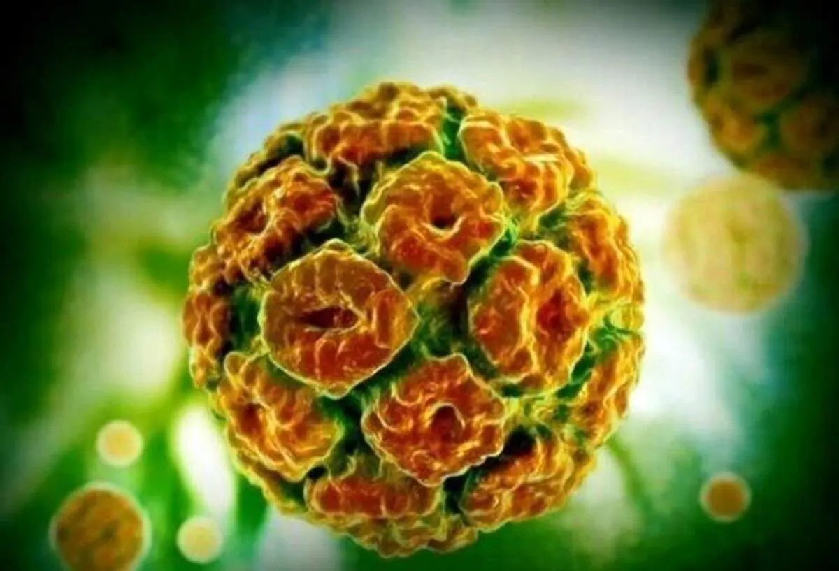 درمان زگیل تناسلی+ جزئیات