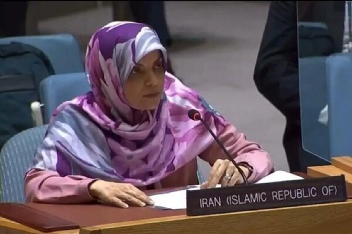 ارشادی: خواستار تضمین فعالیت بی طرفانه سازمان منع سلاحهای شیمیائی هستیم