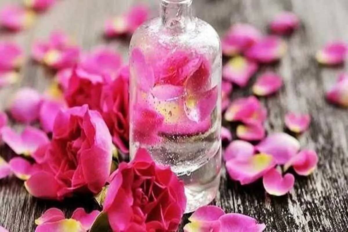 تاثیر معجزه آسای گلاب بر روی پوست
