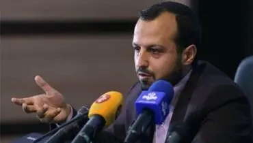 وزیر اقتصاد: نگران افزایش درآمد مالیاتی دولت نباشید