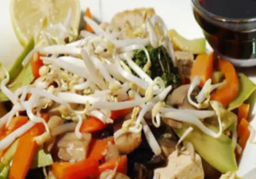 تهیه غذای چینی عجیب با سنگ برشته!+فیلم