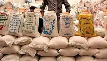 توزیع ۱۰۰ هزار تن برنج وارداتی در بازار
