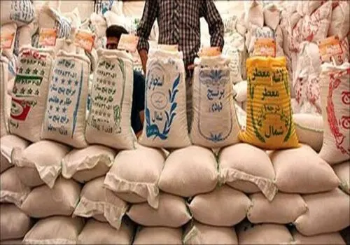 بازار برنج وارداتی در آذر؛ جهش‌های پی‌درپی قیمت و رقابت تازه در واردات برنج هندی