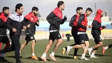 گل‌محمدی تمرین پرسپولیس را تعطیل کرد