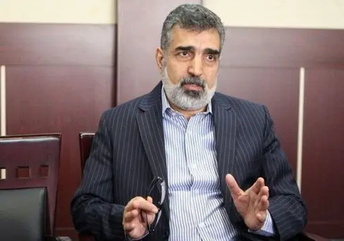 کمالوندی: برخورداری کامل از فناوری صلح‌آمیز هسته‌ای، حق ایران است
