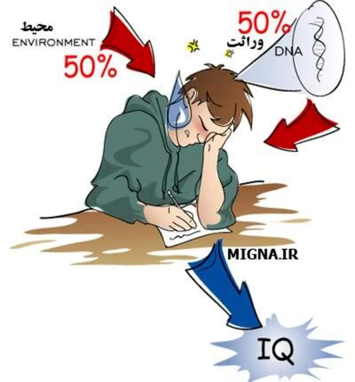IQ یعنی چی؟