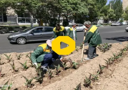 اصلاحات جدید در بازنشستگی مشاغل سخت و زیان‌آور اعلام شد