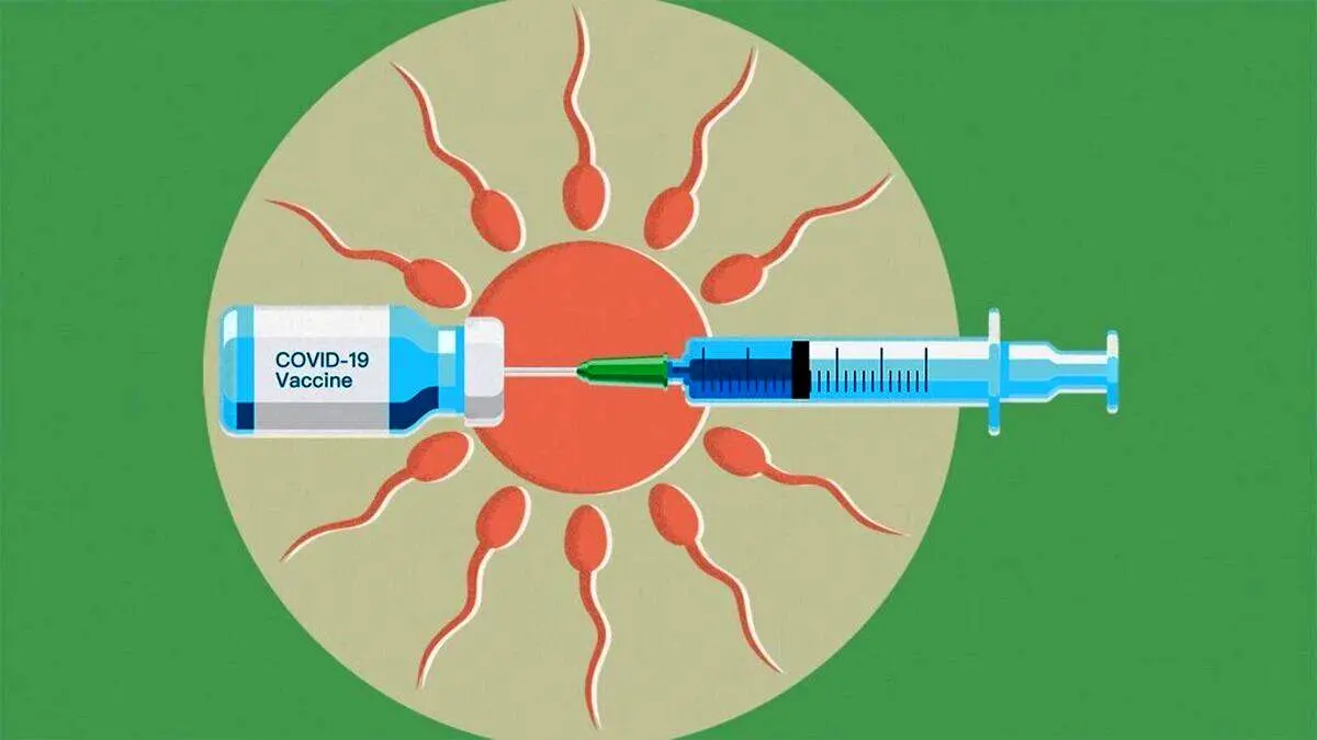 جدیدترین یافته‌های درمورد تاثیر واکسن کرونا بر بارداری