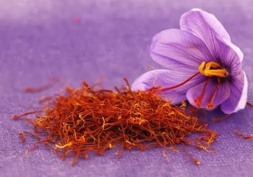 قیمت هر کیلو زعفران در بازار به روز شد / طلای سرخ ارزان شد