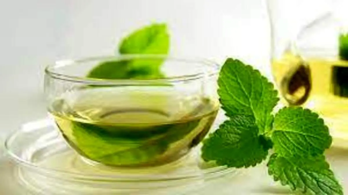 عرق نعناع خانگی تهیه کنید