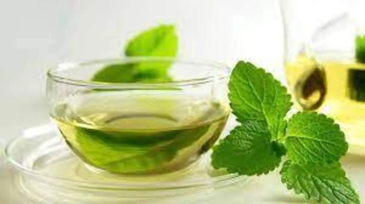 عرق نعناع خانگی تهیه کنید