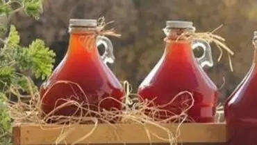 روش‌های صحیح نگهداری آبغوره خانگی