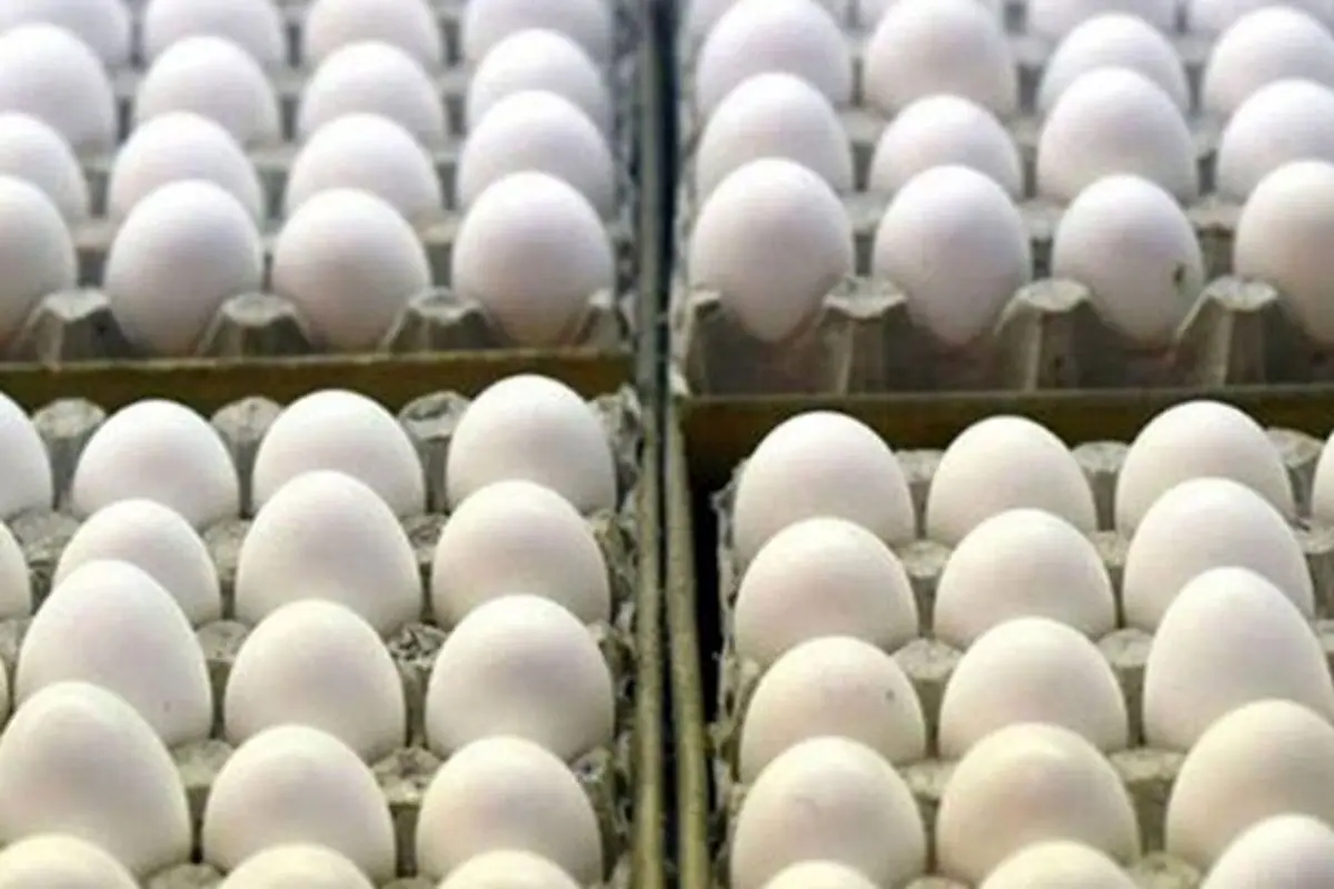 ۲۰ عدد تخم‌مرغ ۳۸ هزار تومان | جدیدترین قیمت‌ها در بازار