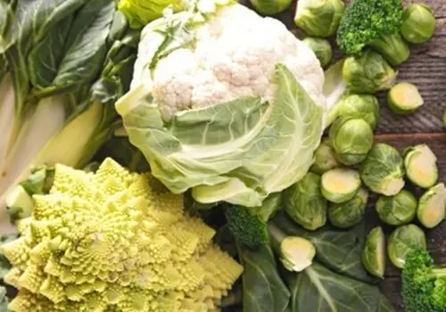 راهنمای تشخیص گل کلم تازه و روش نگهداری در یخچال

