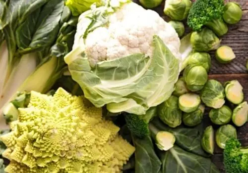 راهنمای تشخیص گل کلم تازه و روش نگهداری در یخچال

