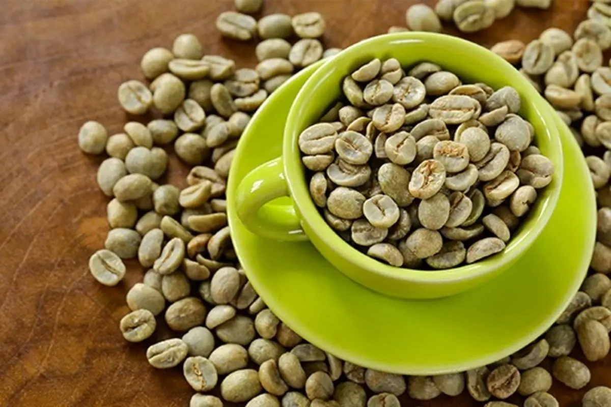بهترین روش دم کردن قهوه سبزاما برای تهبه این نوشیدنی چند قلق لازم است تا طعم بهتری پیدا کند. قهوه های رسیده معمولا خوش طعم تر هستند، اما قهوه سبز به دلیل خواص فراوان و خاصیت کم کنندگی وزن در بین عموم جا باز کرده است.