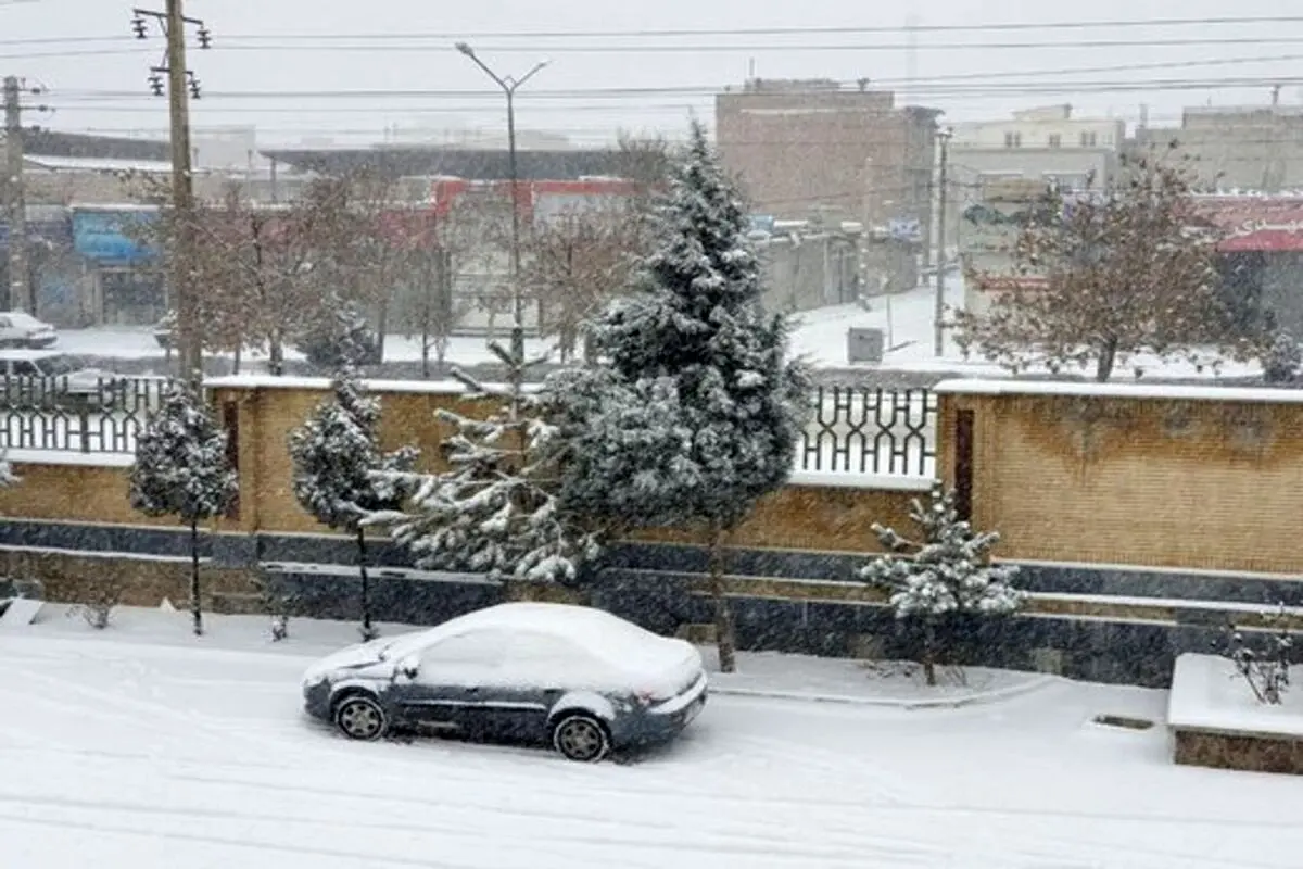 خوشحالی مردم پیرانشهر از بارش ۷۰ سانتی‌متری برف + فیلم