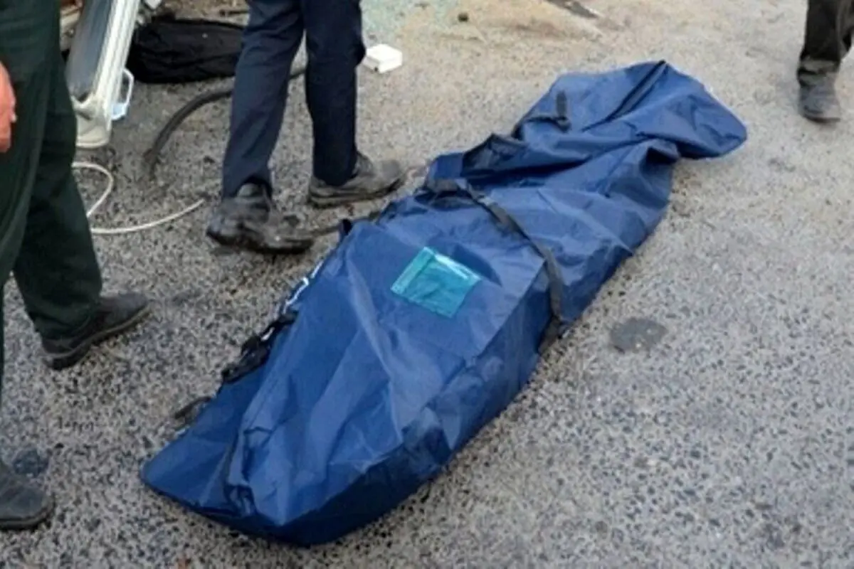 کشف روزانه یک تا ۲ جسد در زباله‌های جنوب تهران!