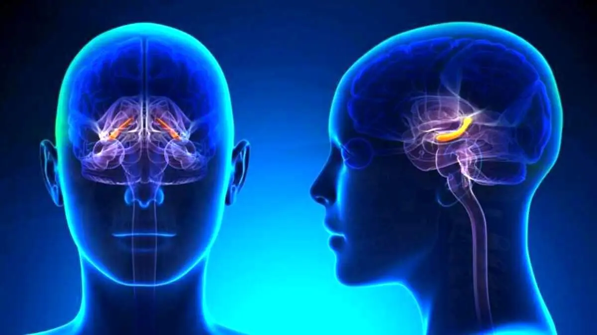 چرا خاطراتمان را فراموش می‌کنیم؟