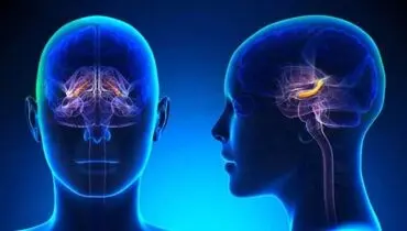 چرا خاطراتمان را فراموش می‌کنیم؟