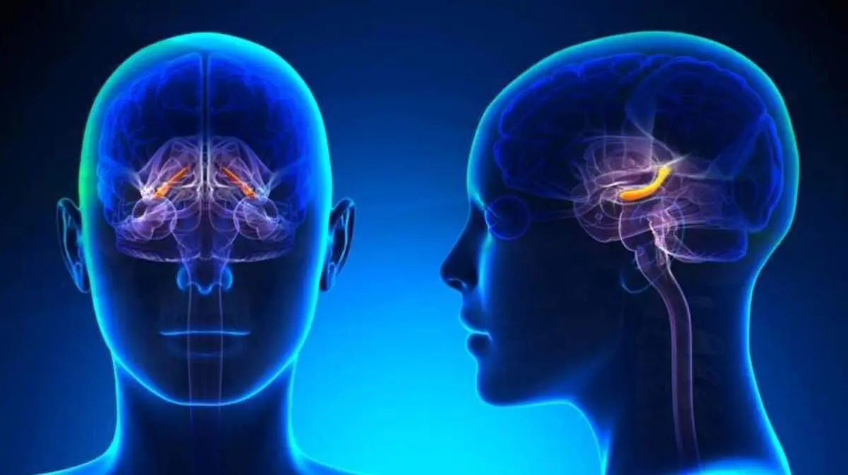 چرا خاطراتمان را فراموش می‌کنیم؟