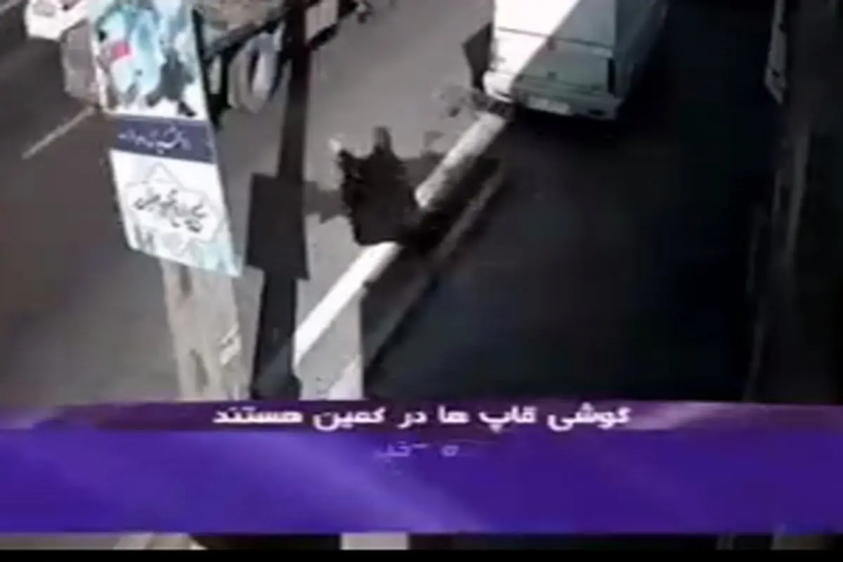گوشی قاپی وحشیانه توسط دزدها در خیابان‌های تهران+ فیلم