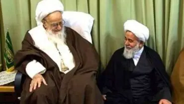 او مدافع غیورحریم اهل بیت عصمت (س) بود/دروس حوزه علمیه استان تهران تا آخر هفته تعطیل خواهد بود