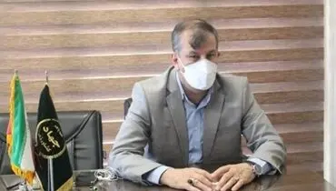 استاندارد، هوشمند و ارزان‌سازی اهداف توسعه گلخانه‌هاست