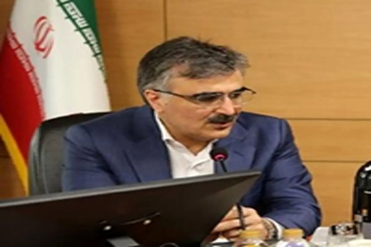 آمادگی کامل بانک ملی ایران برای تامین مالی صنایع مرتبط با پتروشیمی
