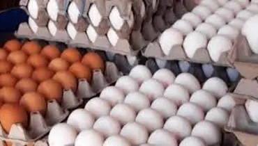 چرا تخم مرغ دو نرخی است؟
