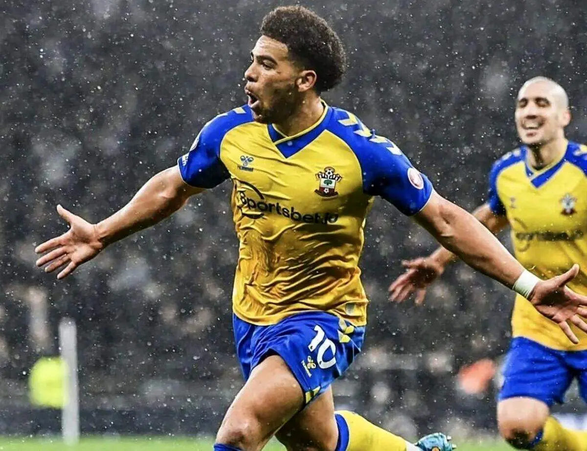 خلاصه بازی تاتنهام - ساوتهمپتون/ پاتک هوزنهوتل و رفقا در خانه حریف + فیلم