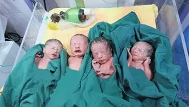 به مادران چهارقلوهای متولد۱۴۰۰ زمین تعلق می گیرد
