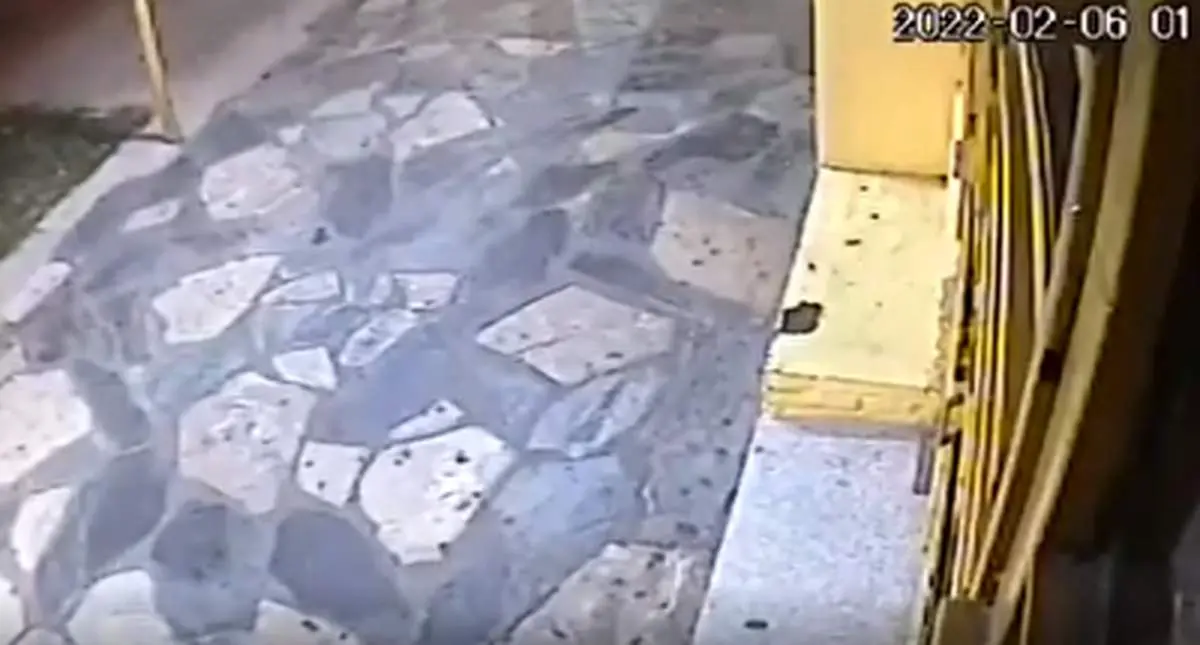 تلاش نافرجام یک سارق برای دزدی از یک مادربزرگ+ فیلم