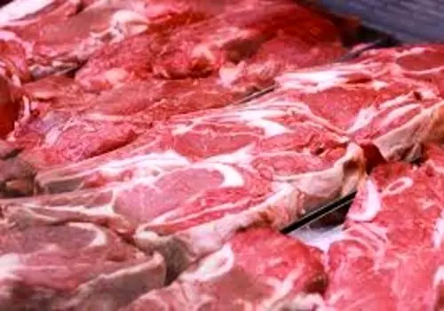 قیمت گوشت گوسفند کیلویی ۲۳۰ هزار تومان شد