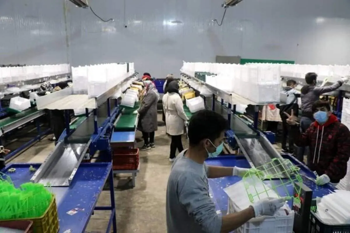 واحد سورت و بسته بندی میوه در ارومیه افتتاح شد