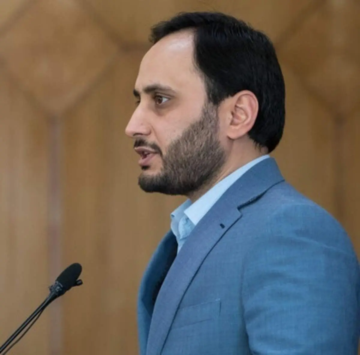 واکنش سخنگوی دولت به ممانعت آمریکا از صدور روادید اعضای تیم ملی کشتی