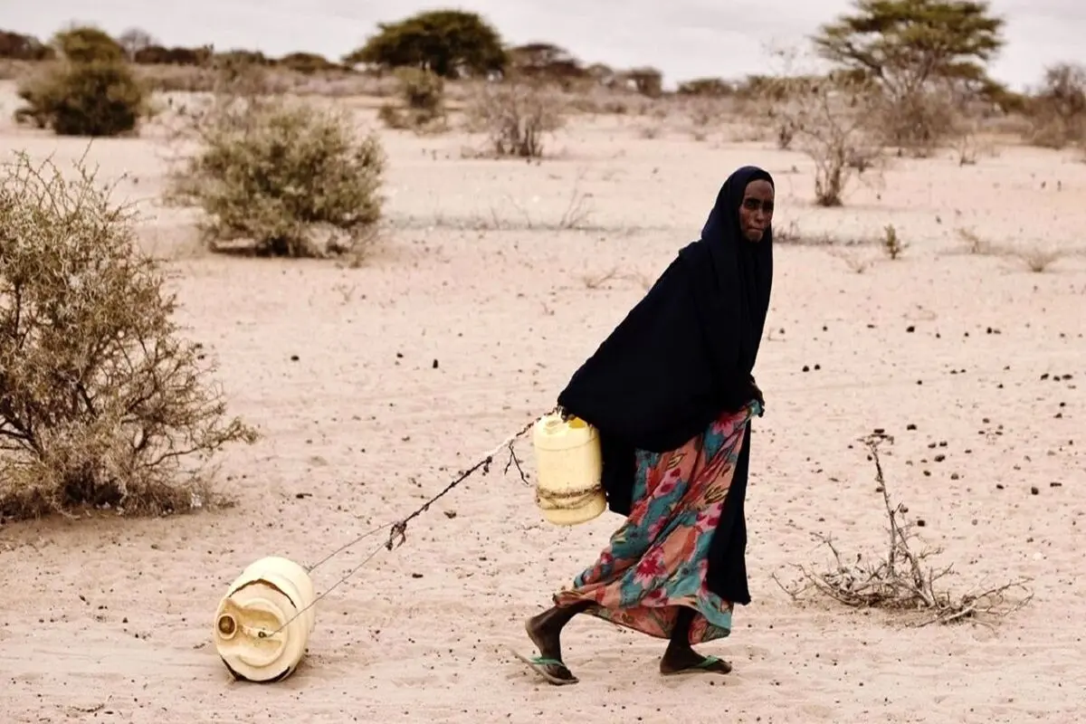 گرسنگی ۱۳ میلیون نفر در شرق آفریقا در پی بروز خشکسالی