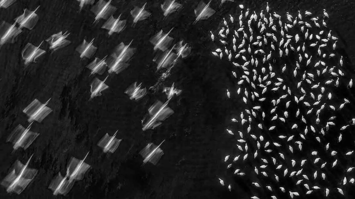 جوایز جهانی عکاسی سونی ۲۰۲۲