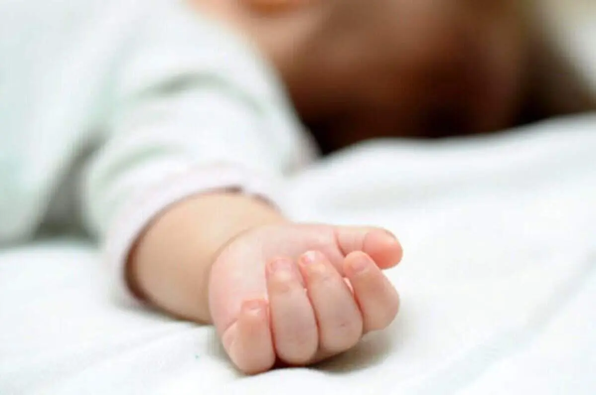 فروش نوزاد در اینستاگرام | قیمت هر نوزاد چند؟