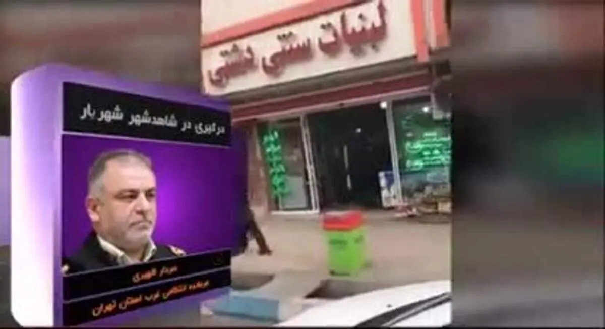 شهریار؛ روایت پلیس از ماجرای جنجالی تیرهوایی مامور پلیس + فیلم