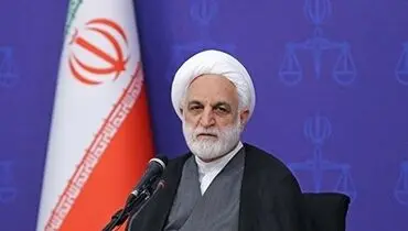 محسنی اژه ای: سازمان نظام پزشکی در راستای حمایت از بیمار از همه ظرفیت‌های قانونی خود بهره گیرد