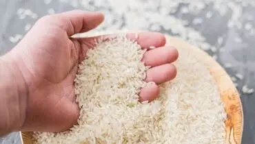 قیمت‌های جدید برنج ایرانی و خارجی اعلام شد