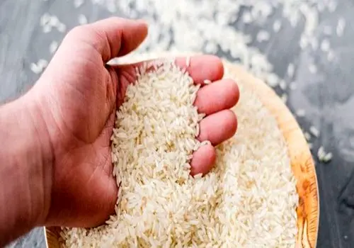 قیمت برنج ایرانی تا ۱۵۸ هزار تومان کاهش یافت

