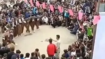 رقص و پایکوبی کُرد‌ها برای استقبال از لک‌لک‌ها + فیلم