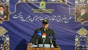 زمین‌گیر شدن ۲۸۲ نفر از اوباش در طرح ضربتی پلیس