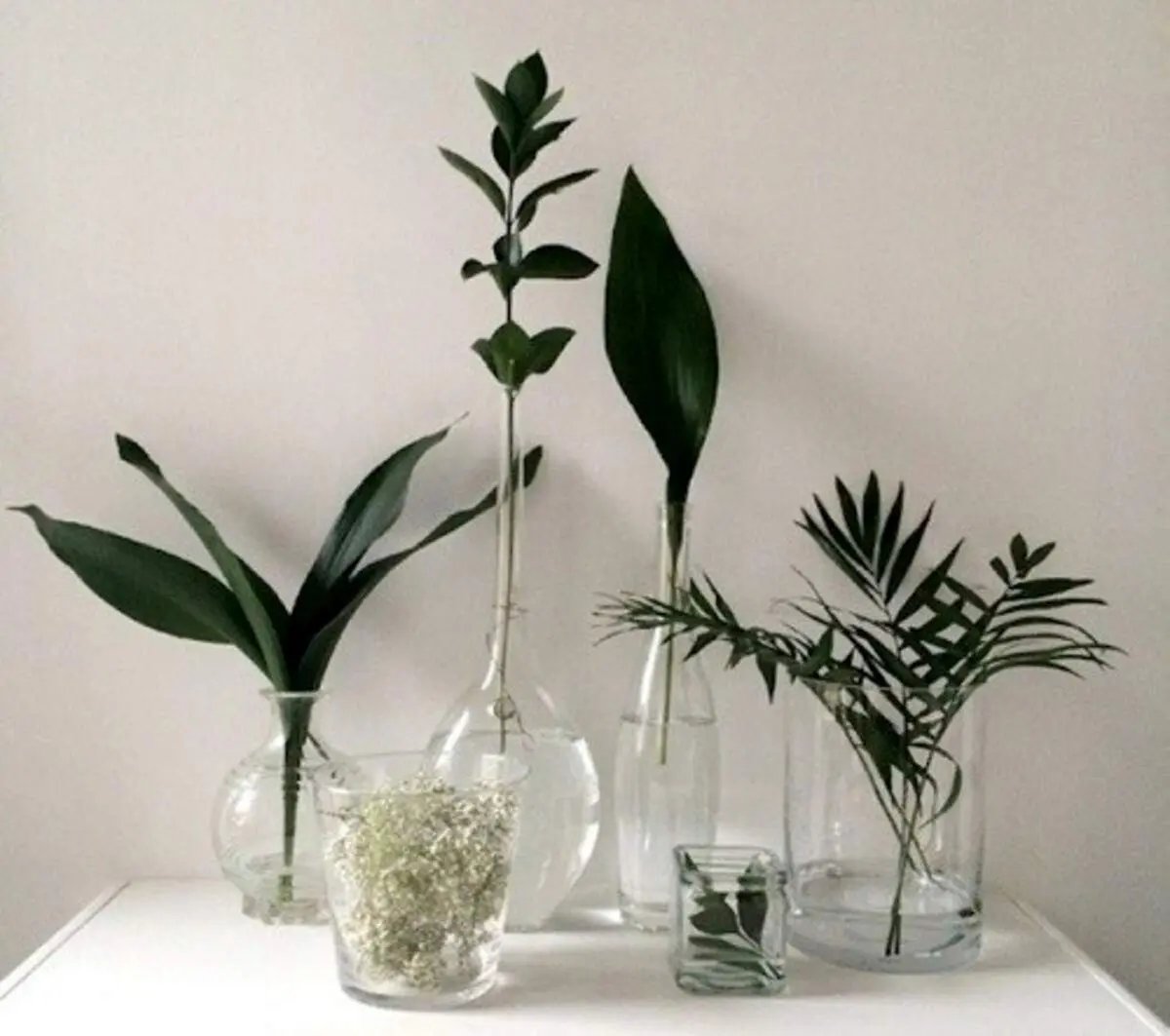 کدام گل ها و گیاهان را می توان بدون خاک پرورش داد؟