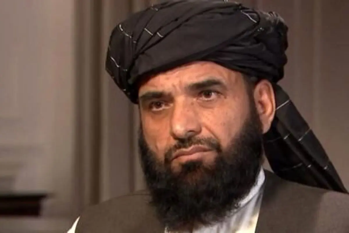 سهیل شاهین به عنوان رئیس دفتر سیاسی طالبان در قطر منصوب شد